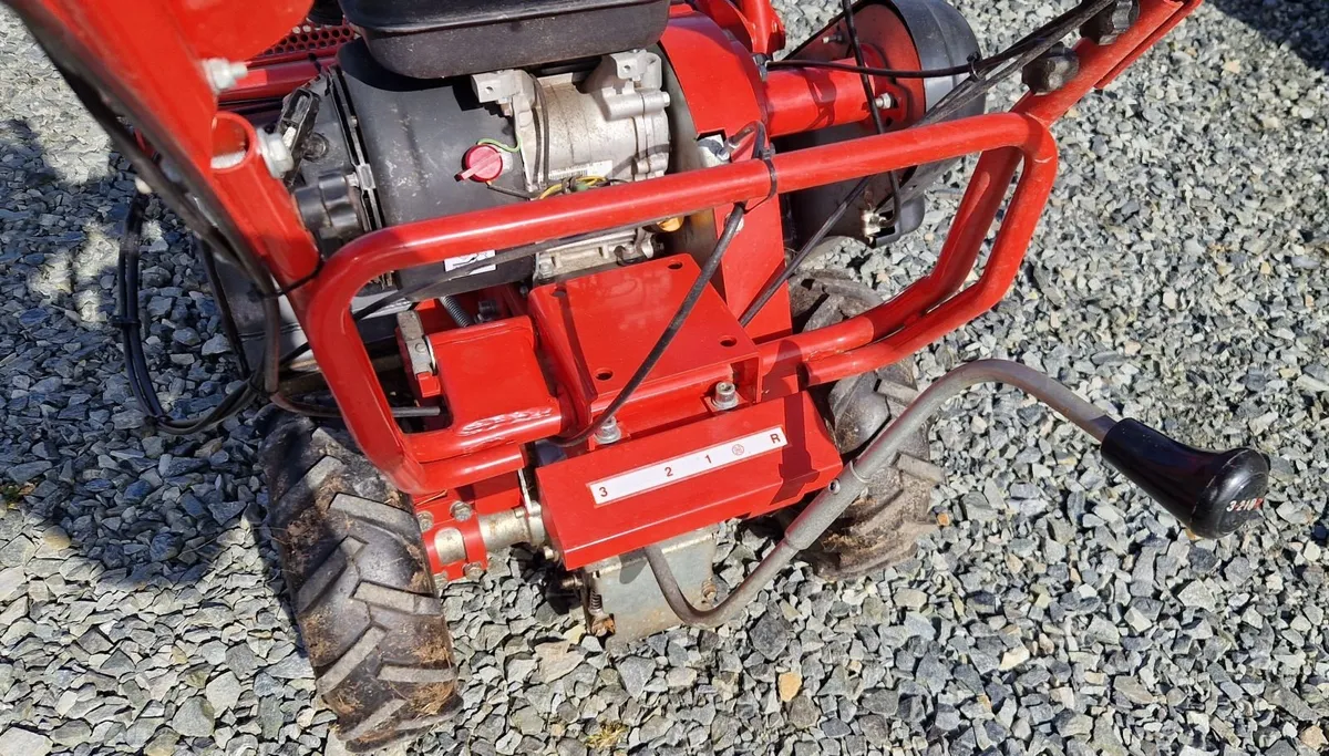 Flail Mower - Walk behind - Image 2