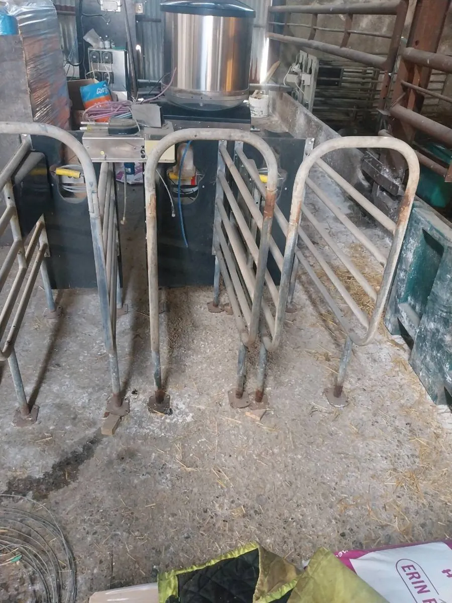 Calf Feeder - Image 2