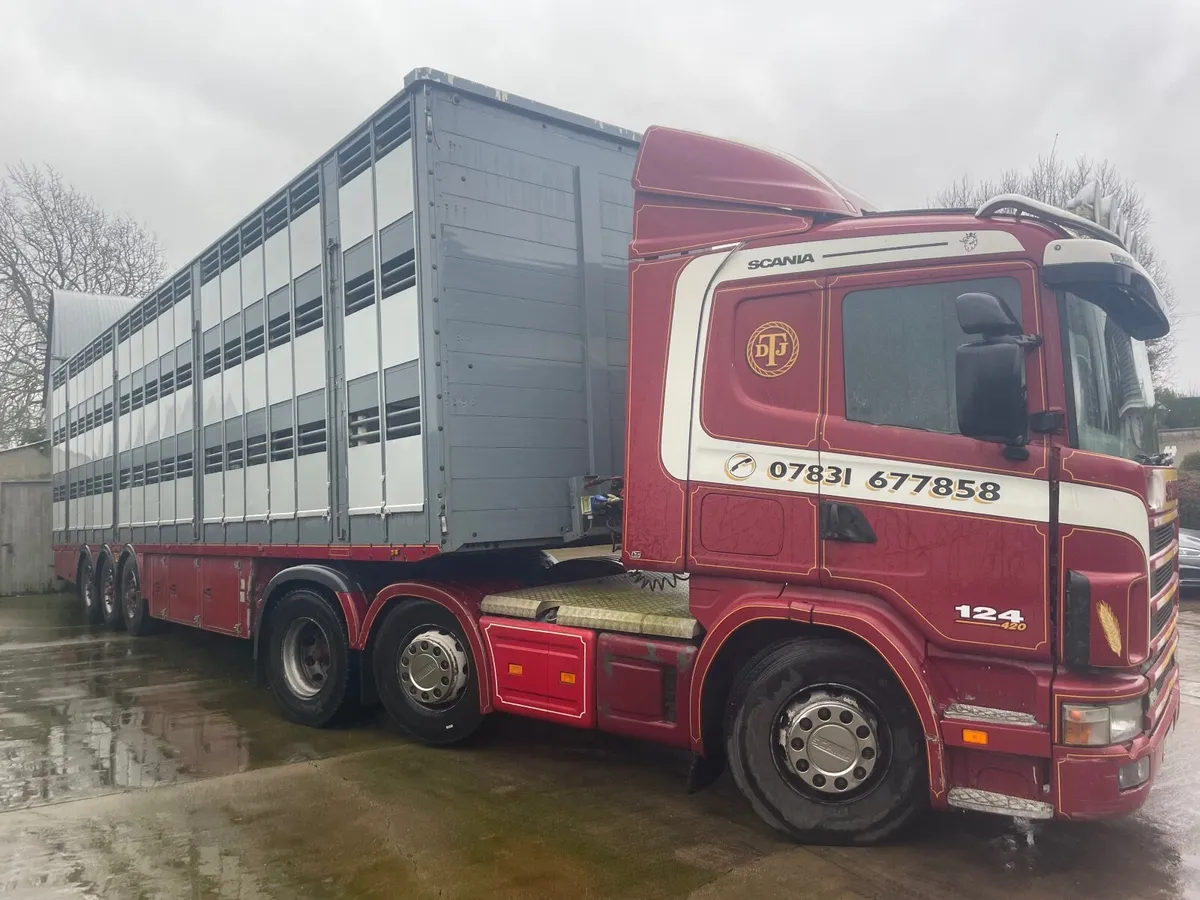 Pezzaoli straight frame livestock trailer for sale - Image 3