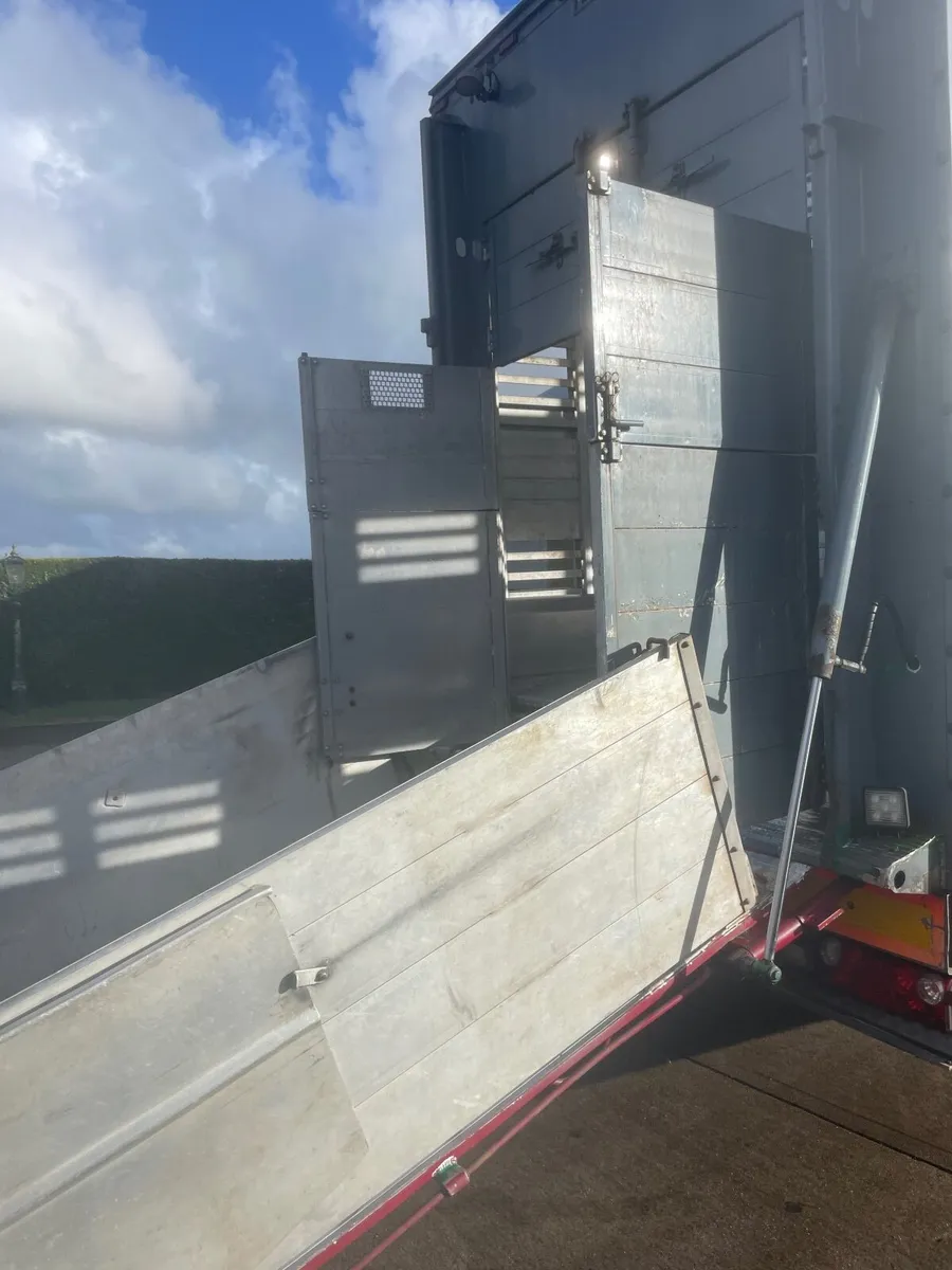 Pezzaoli straight frame livestock trailer for sale - Image 2