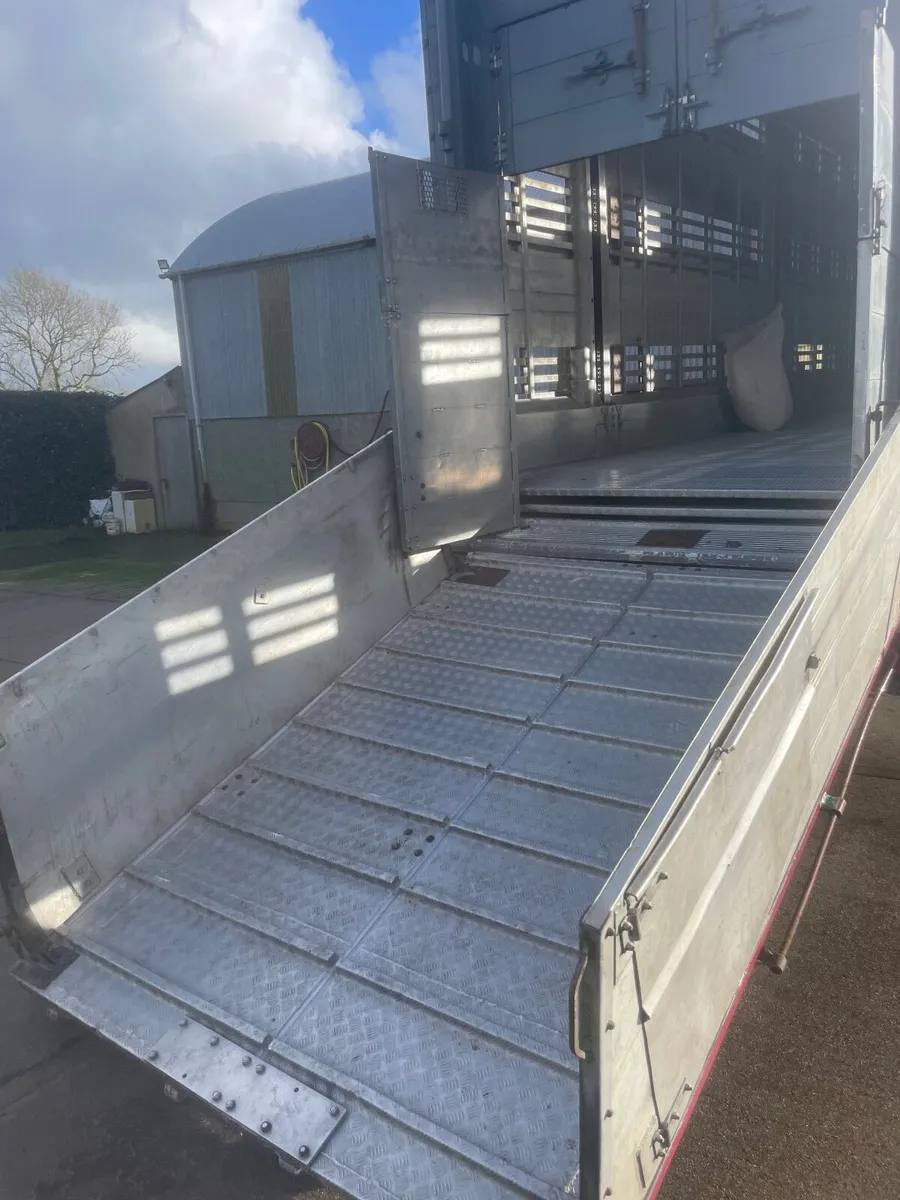 Pezzaoli straight frame livestock trailer for sale - Image 4
