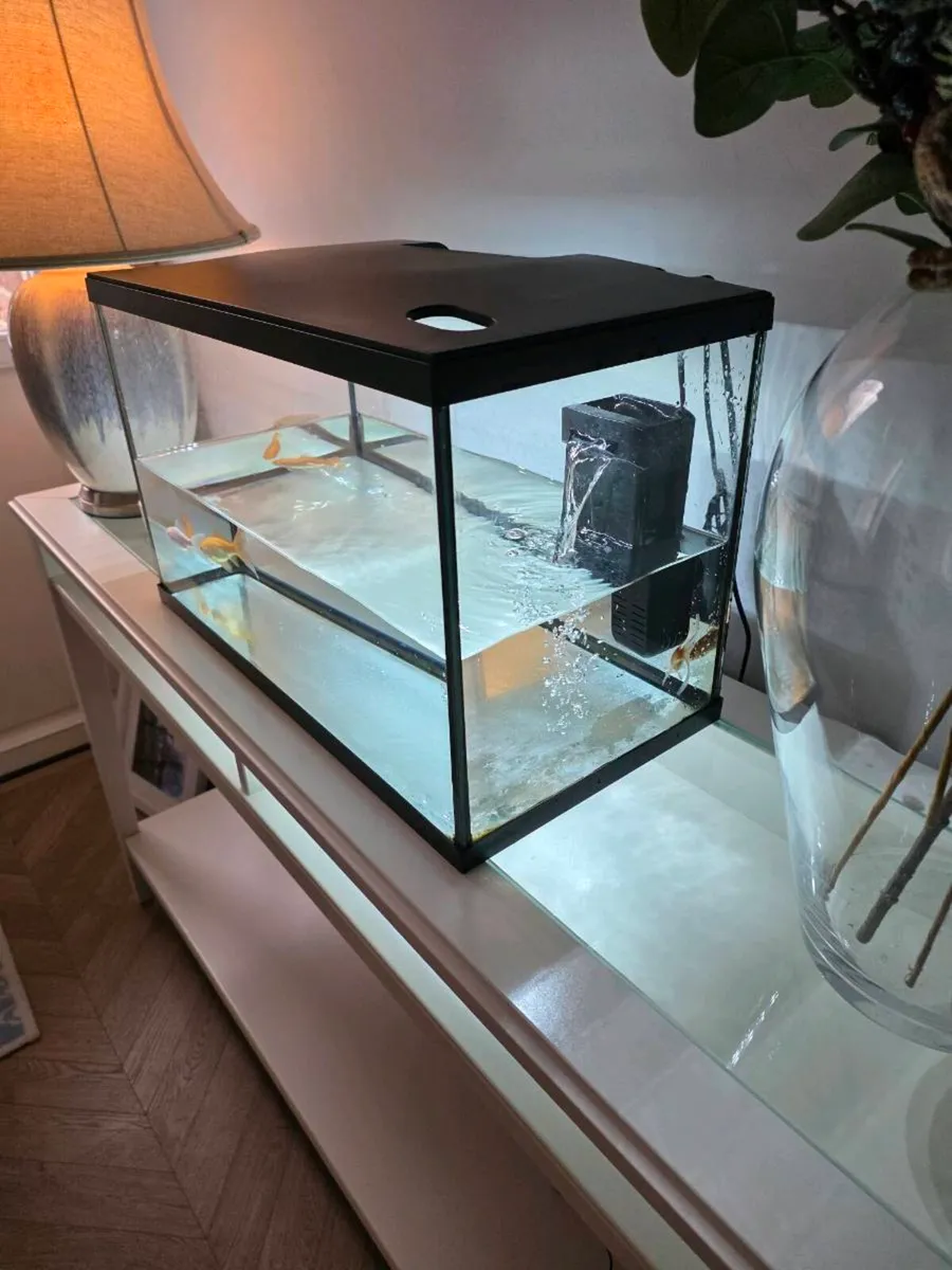 Complete Fish Tank Starter Kit + 3 Goldfish - Image 2