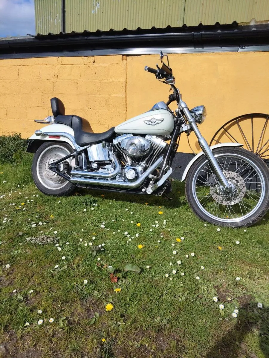 Harley Davidson - Image 1