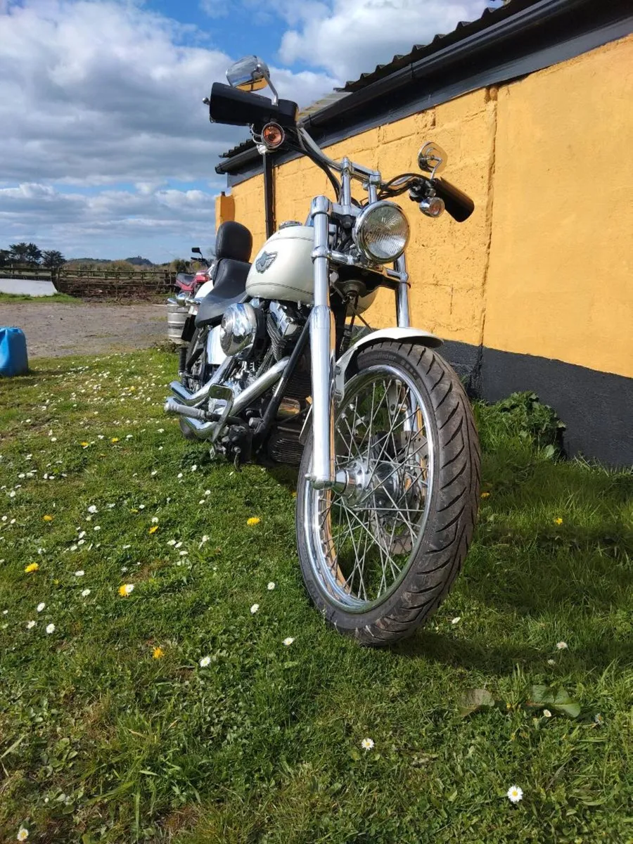 Harley Davidson - Image 2