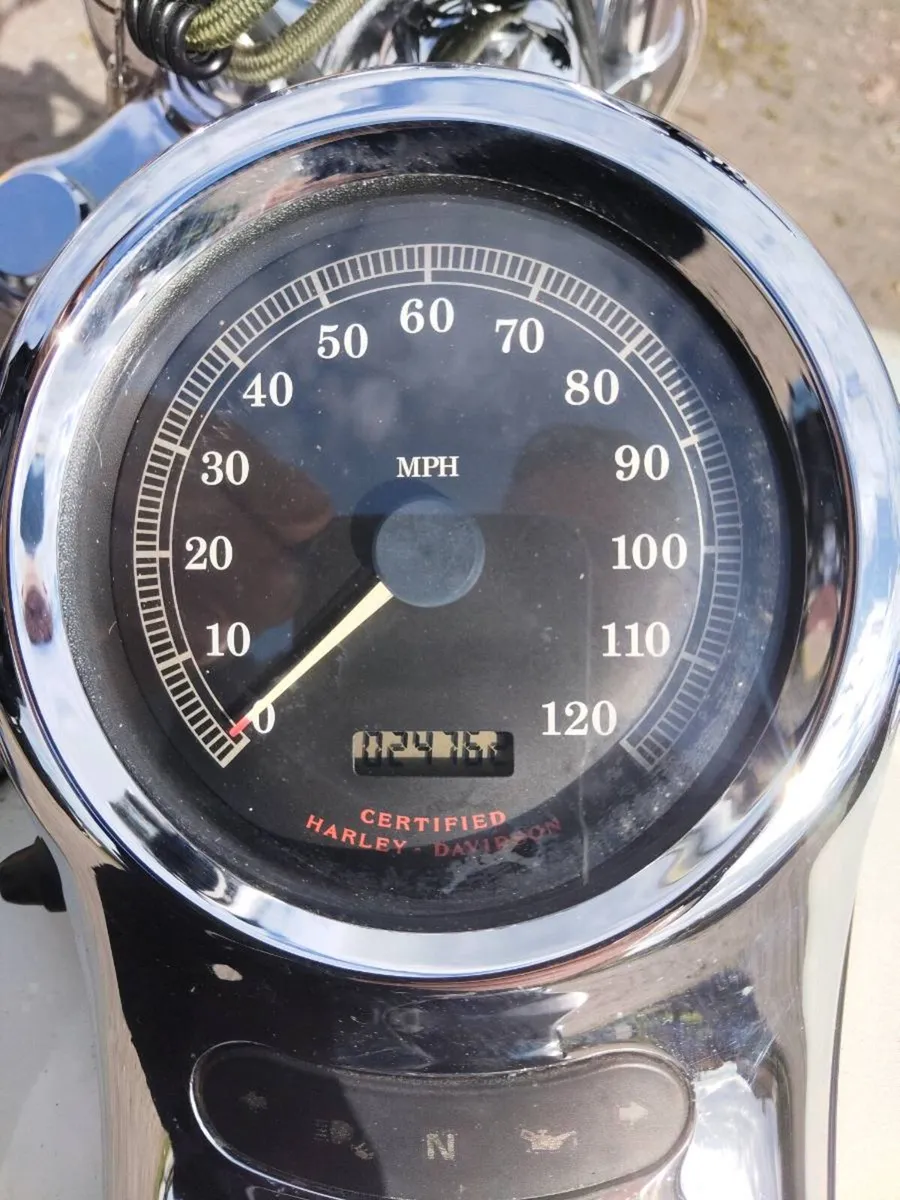 Harley Davidson - Image 3