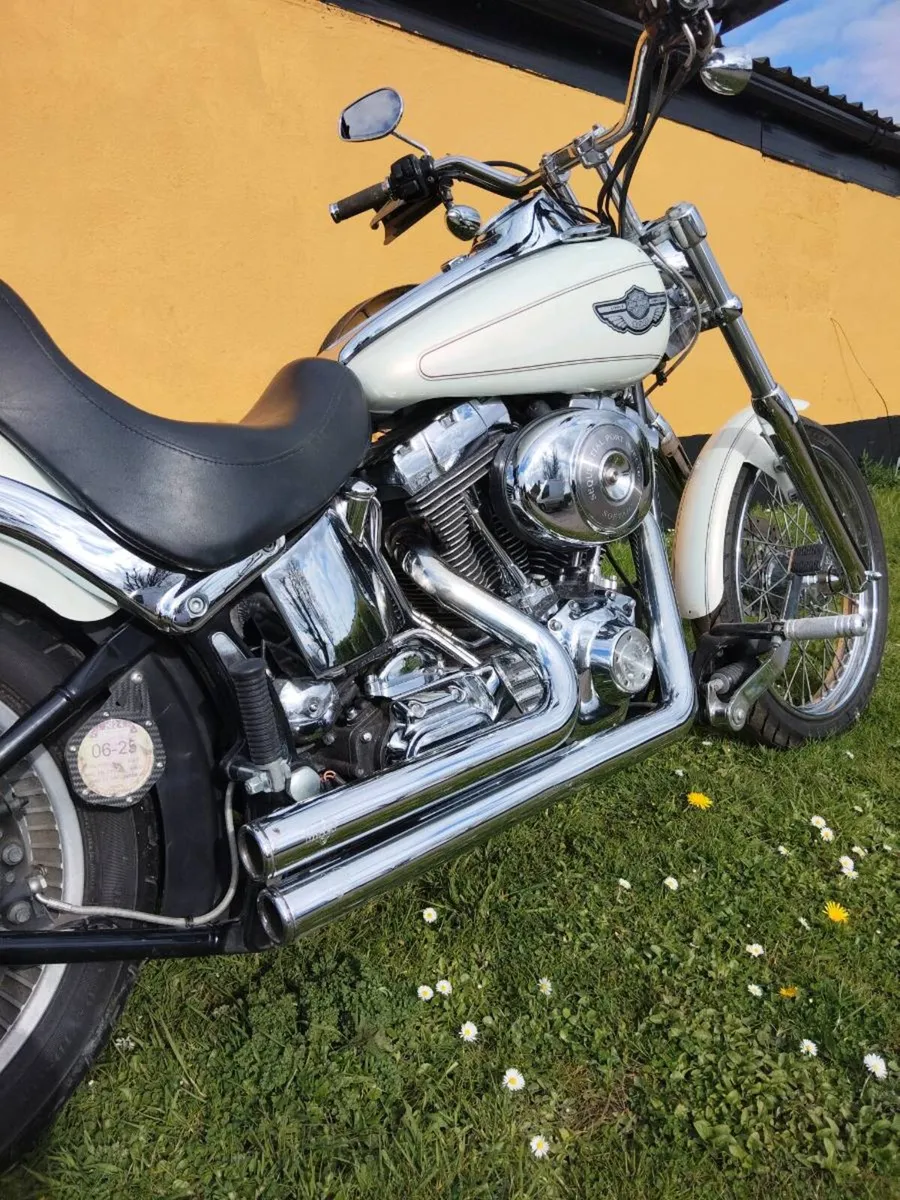 Harley Davidson - Image 4