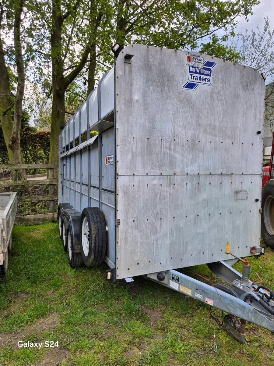 Ifor Williams livestock trailer - Image 1