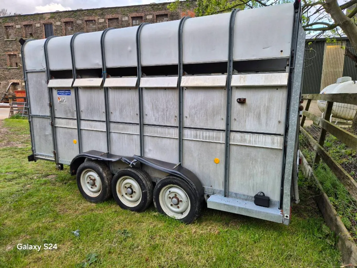 Ifor Williams livestock trailer - Image 4