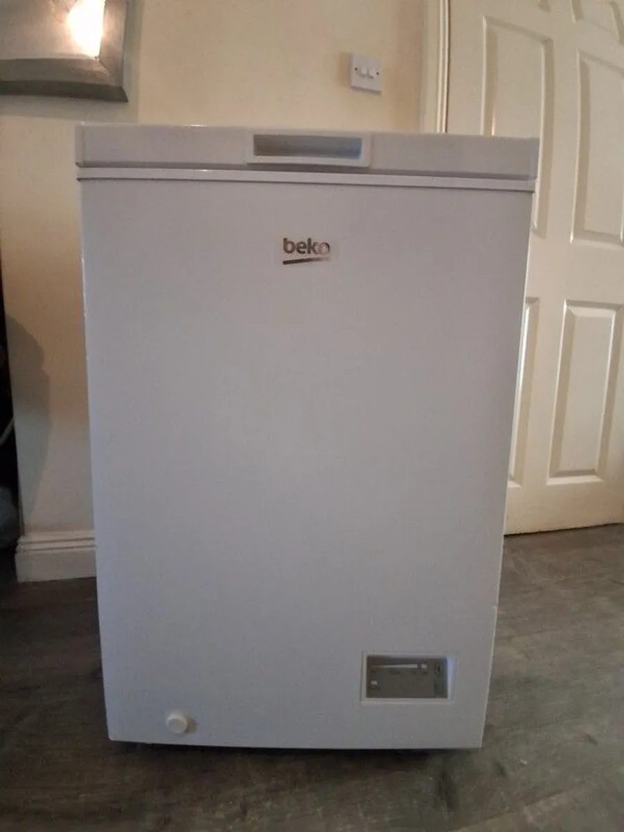 fridge and separate freezer - Image 4