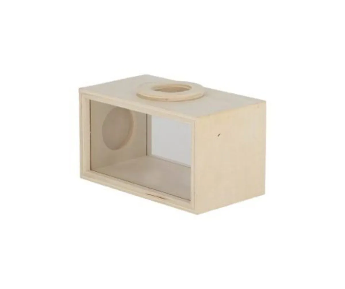 Childrens Wooden Insect Studying Box - Image 2