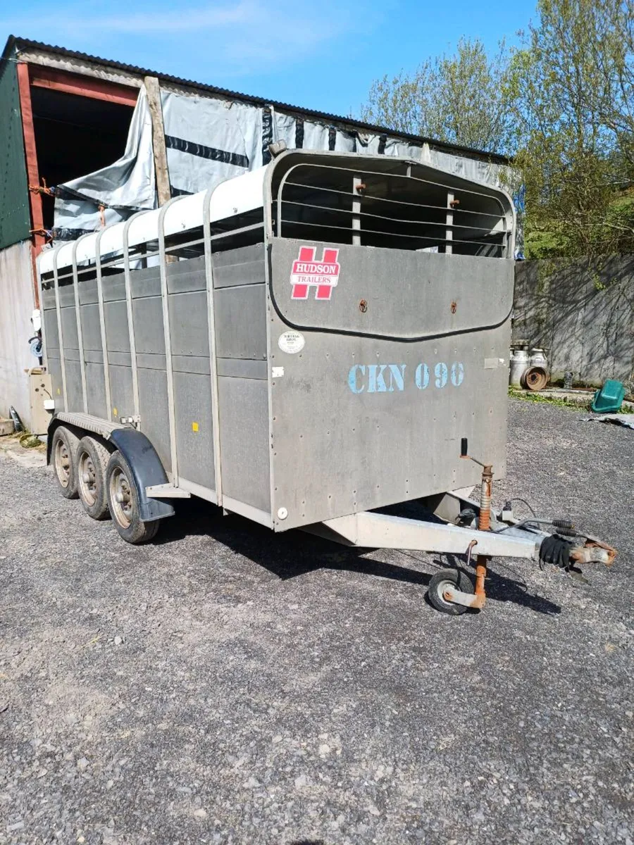 Hudson 14ft CATTLE TRAILER €4500 - Image 3