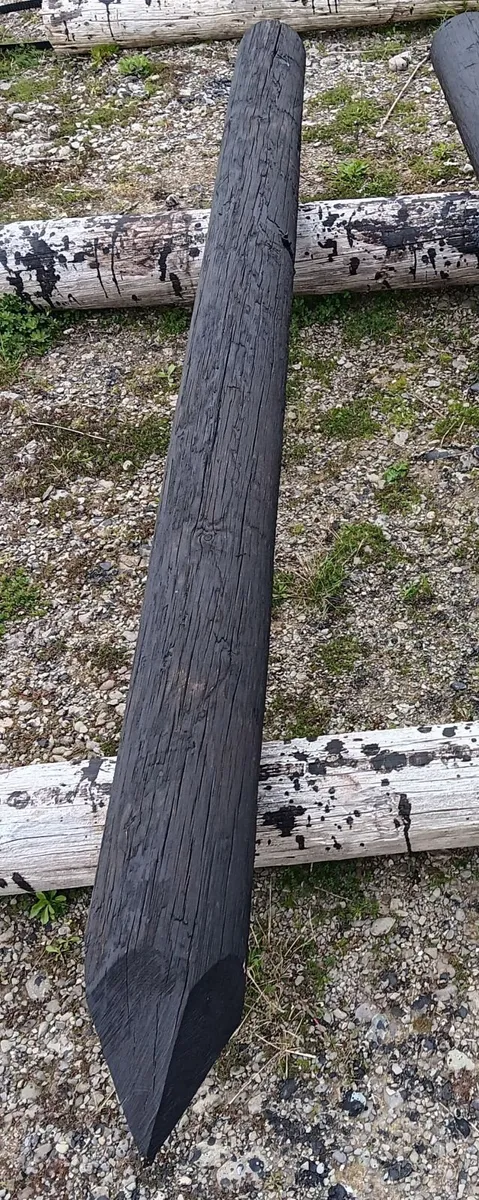 Fencing poles - Image 1