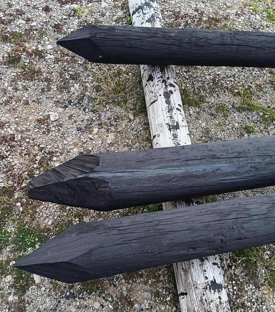Fencing poles - Image 4