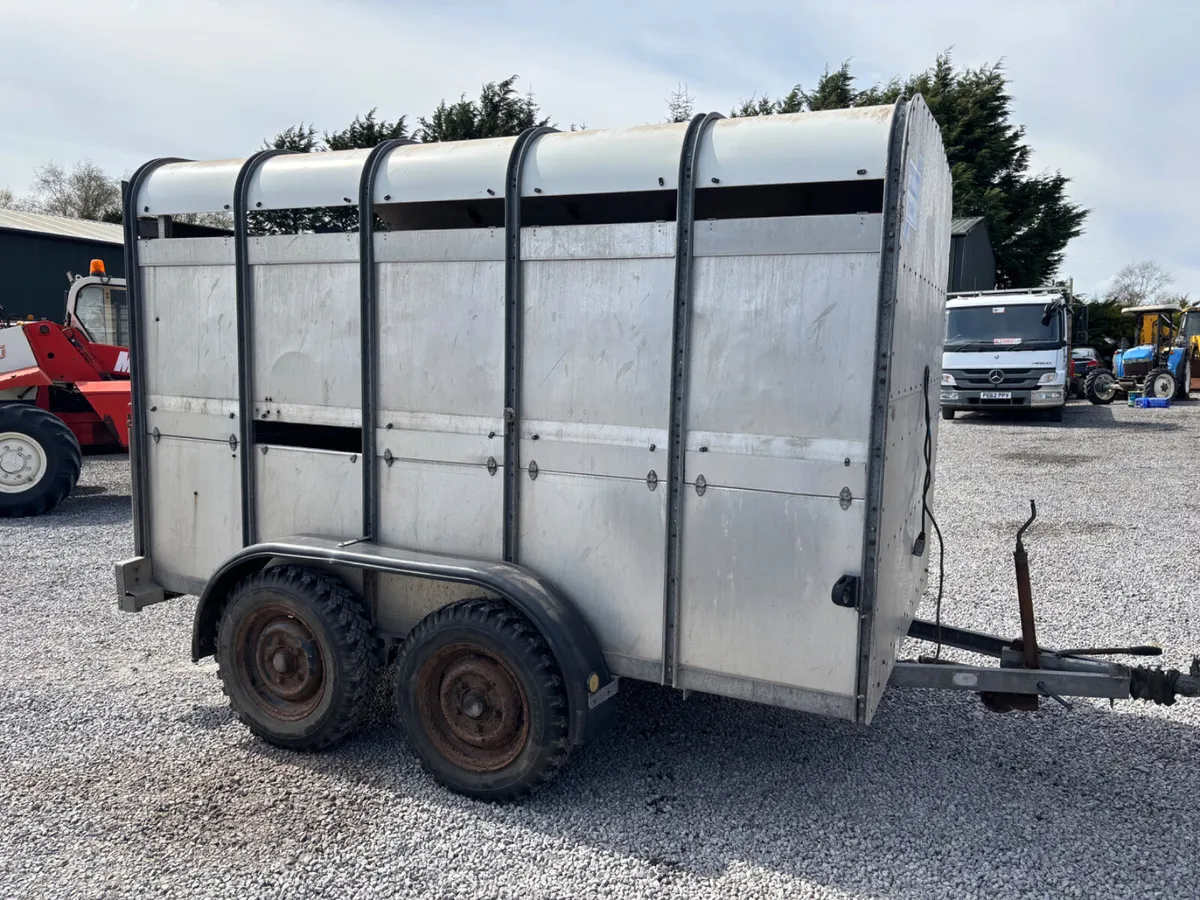 Ifor williams 10ft x 6ft cattle trailer - Image 2