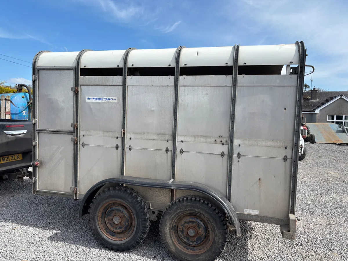 Ifor williams 10ft x 6ft cattle trailer - Image 1