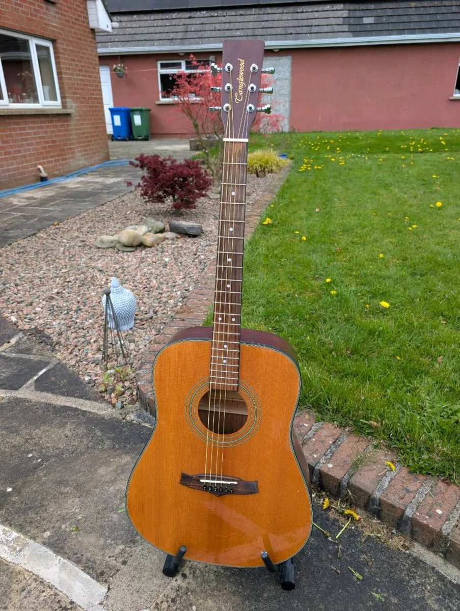 Tanglewood TW28ST-USA Acoustic Guitar - Image 1