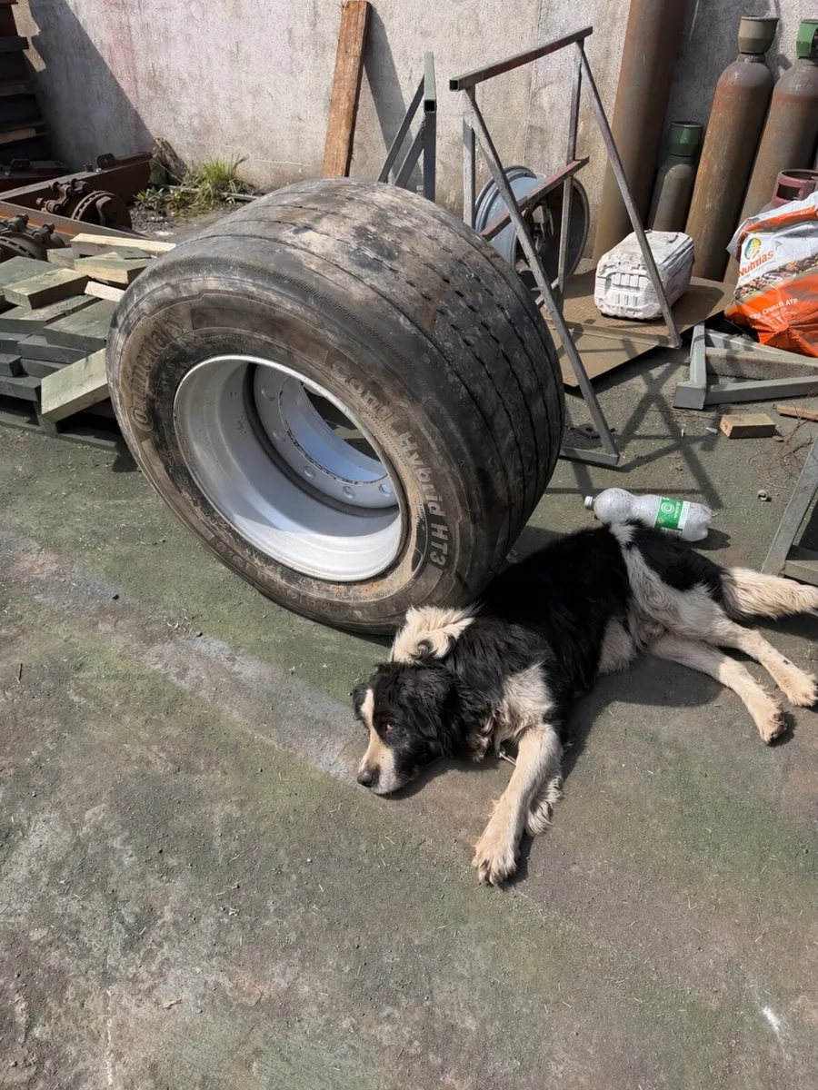 Baby supersingles - Image 1