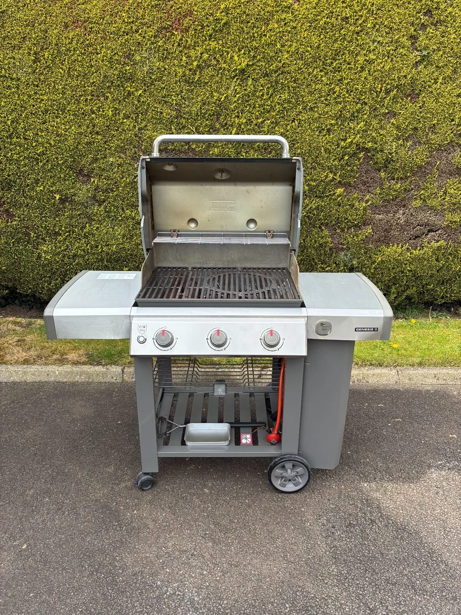 BBQ - Weber - Image 4