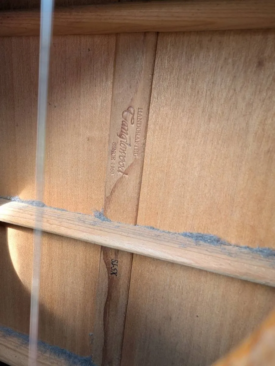 Tanglewood SJ5X Eletro-Acoustic Guitar - Image 3