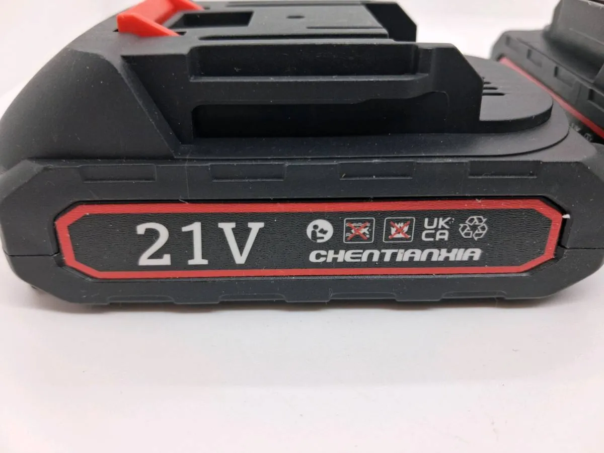 Postage -2 x Batteries CHENTIANXIA  Model TCMT-055 - Image 2