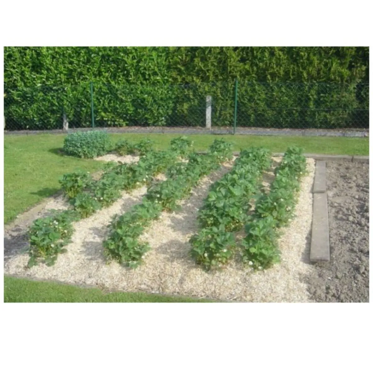 Organic Hemp Mulch Mat Weed Barrier - Image 4