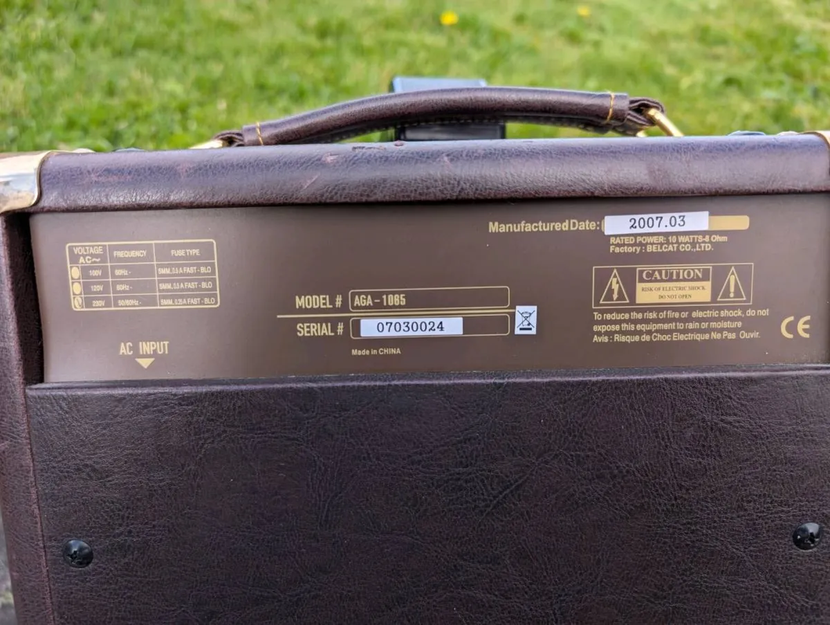 SX AGA-1065 Acoustic Guitar Amplifier - Image 4