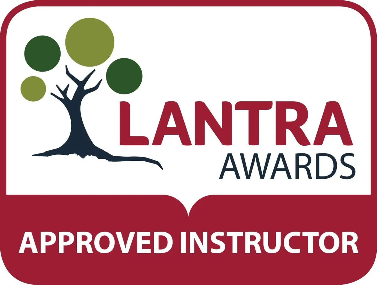 Telescopic Handler Training - Image 4