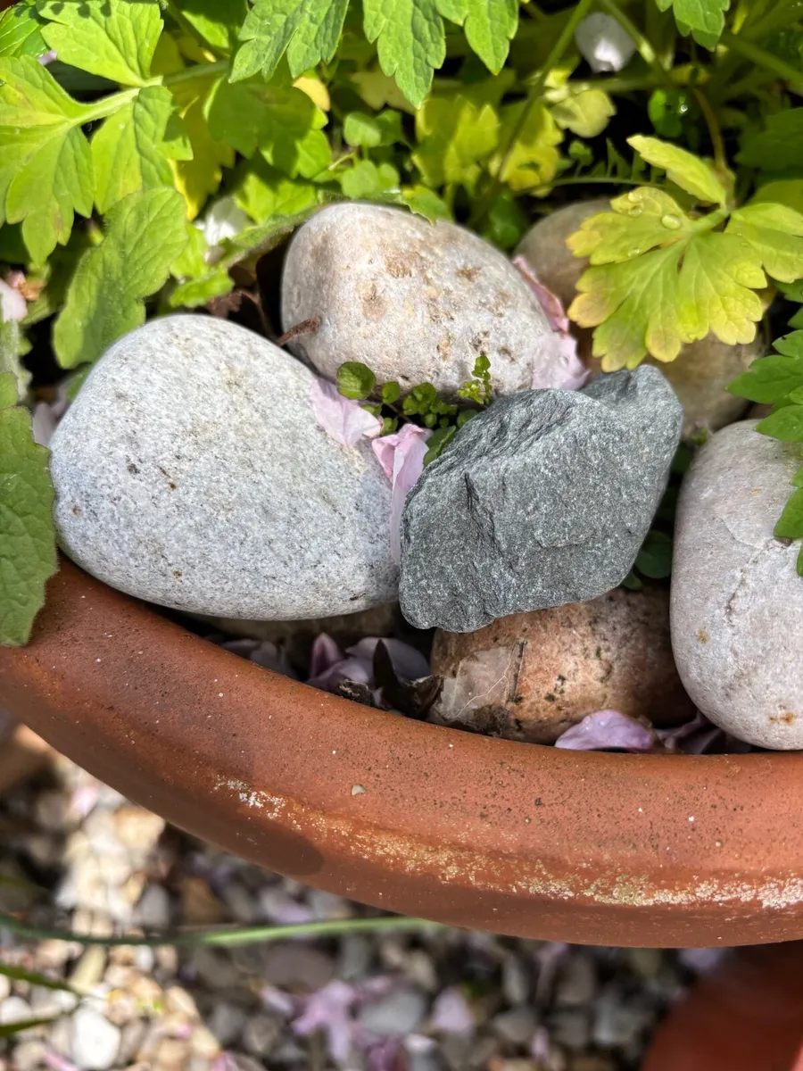 Decorative pebbles for garden - Image 2