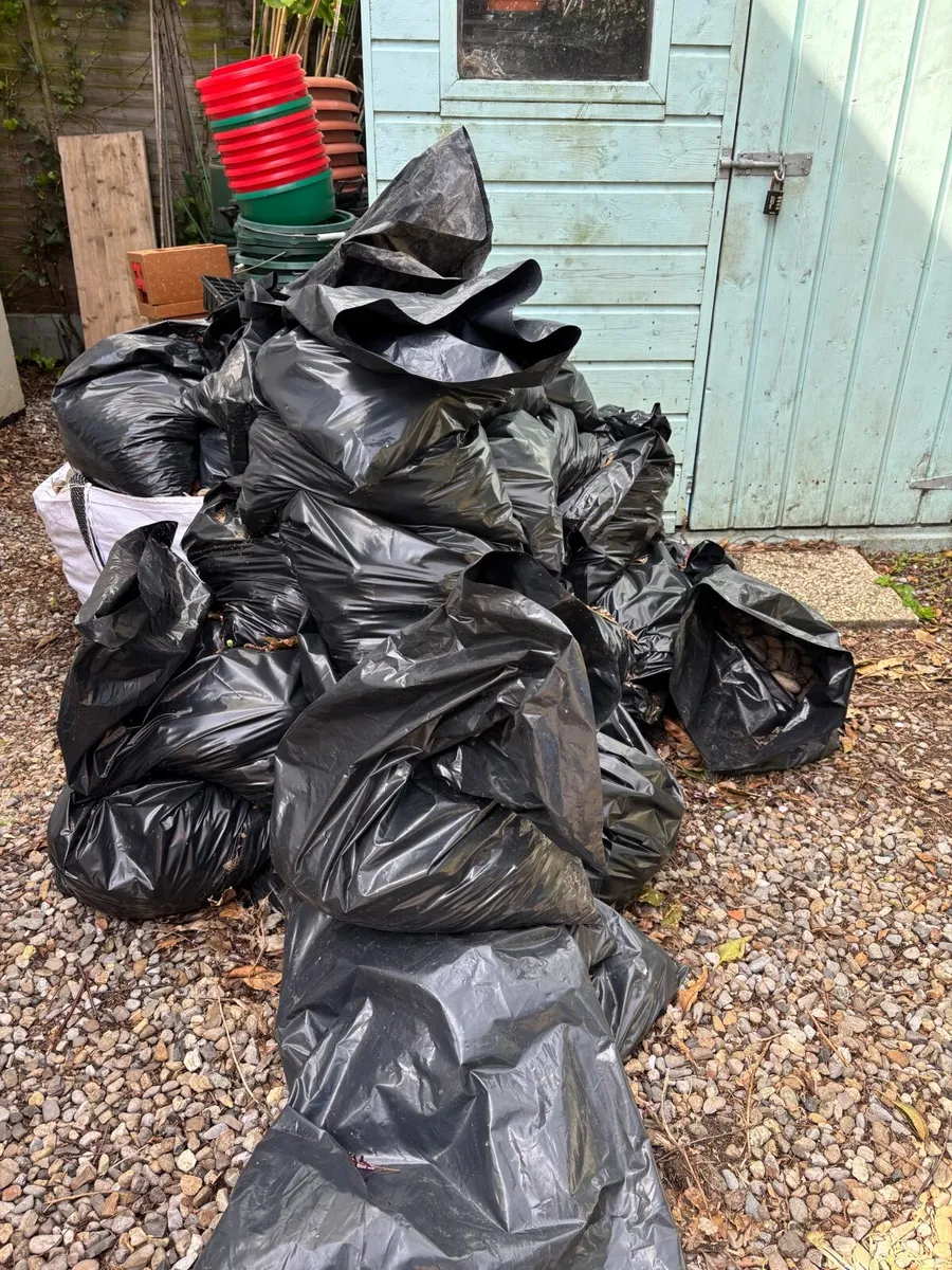 Decorative pebbles for garden - Image 4