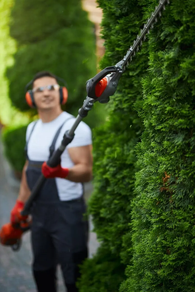 Garden & property maintenance