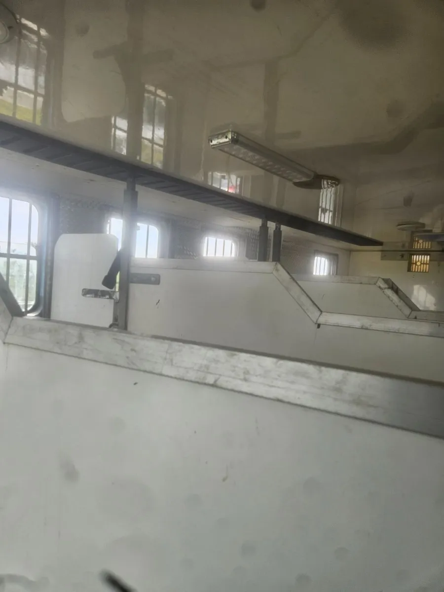 Horse truck 7 stall - Image 3