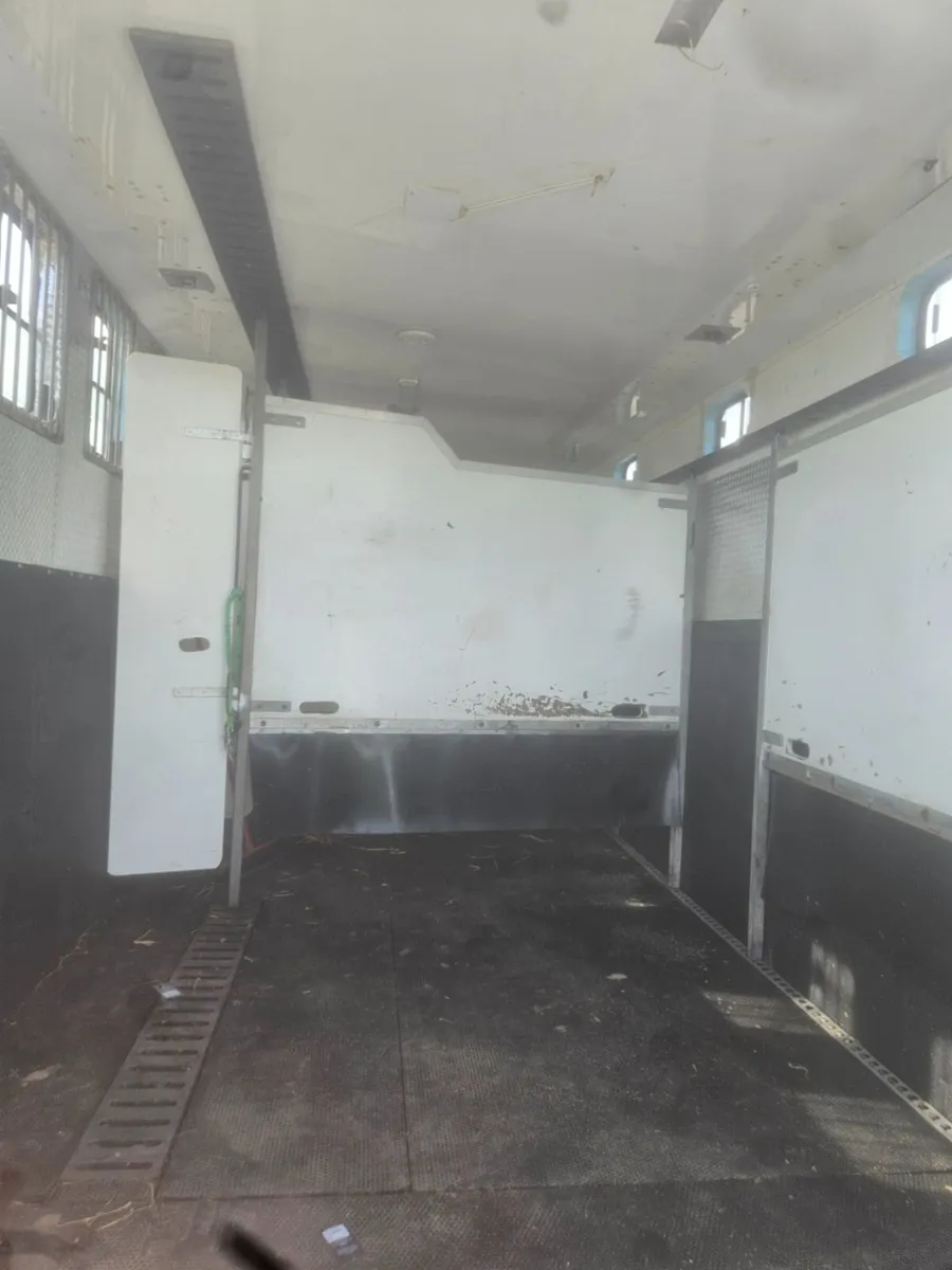Horse truck 7 stall - Image 4