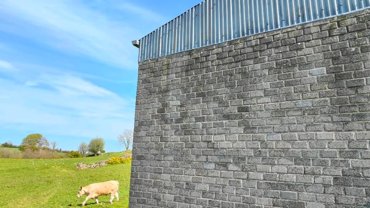 Paving blocks - Image 2