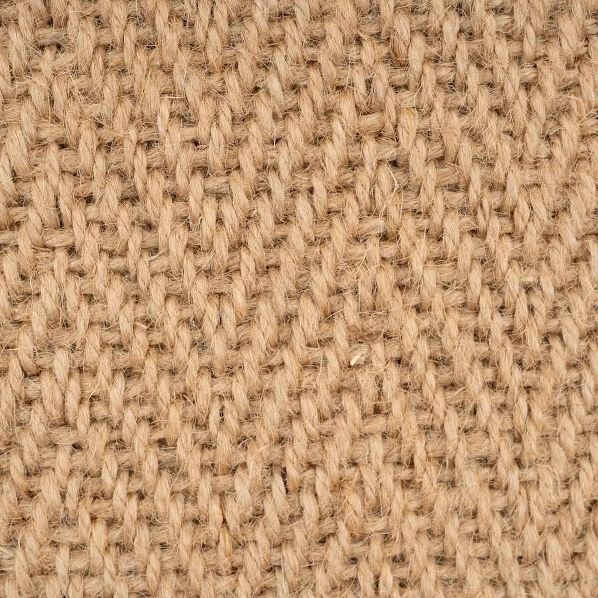 Natural Sustainable Olive Green Cotton Border - Image 2