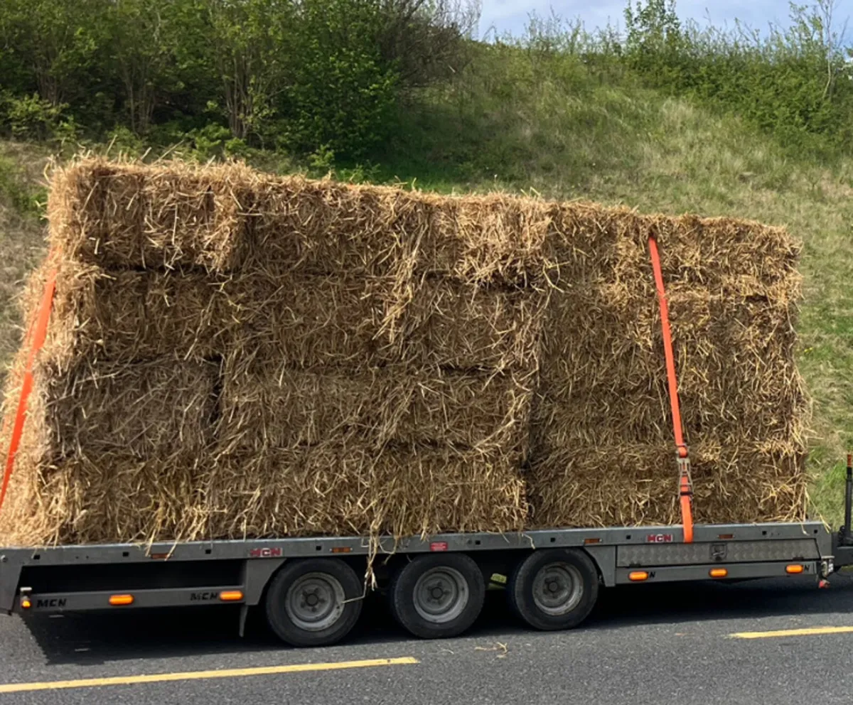 HAY & STRAW         **ALL TOP QUALITY ** - Image 4
