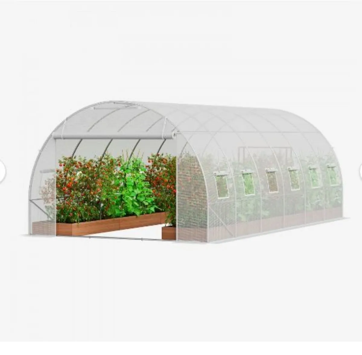 Walk-in Tunnel Greenhouse, 19.4x9.7x6.5 ft - Image 1