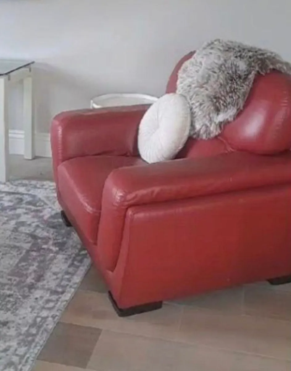 Red 100% Genuine Leather Armchair