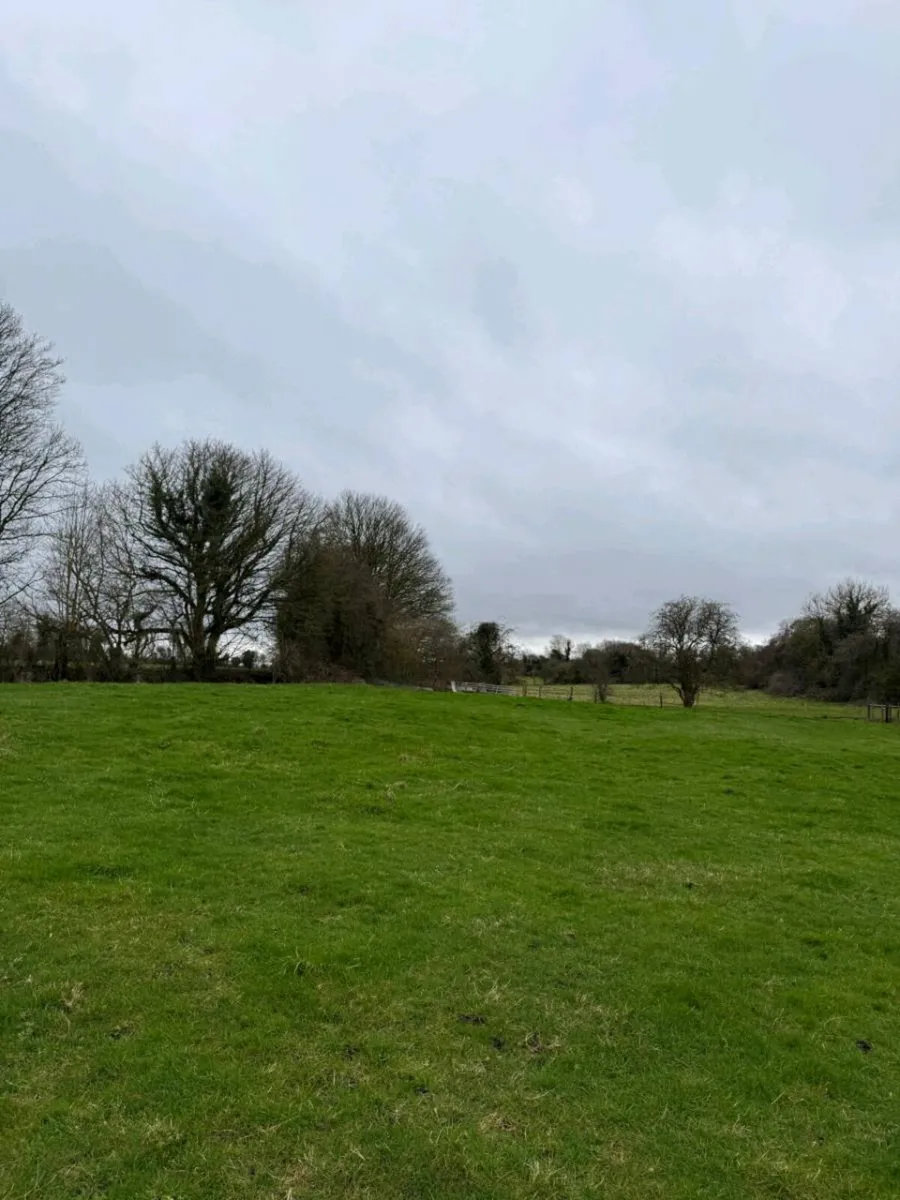 Land 3.5 acres  rent