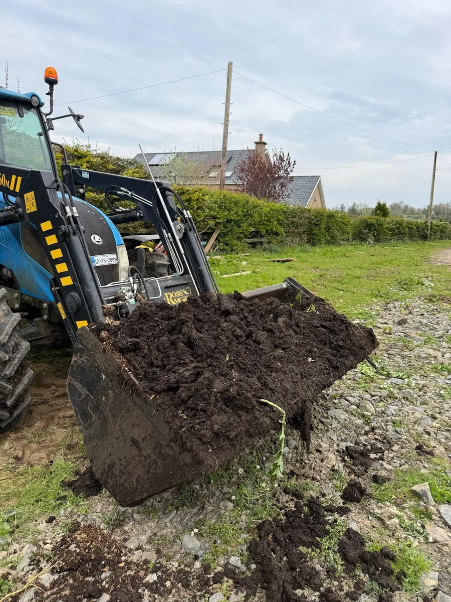 Horse manure - Image 1