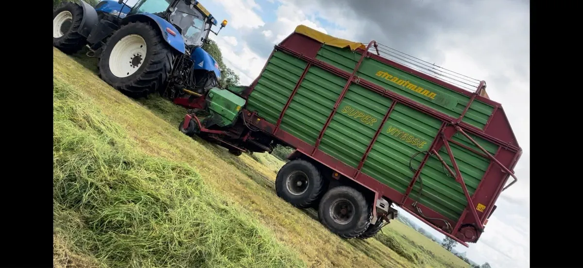 STRAUTMANN Super-Vitesse 1 - Image 2