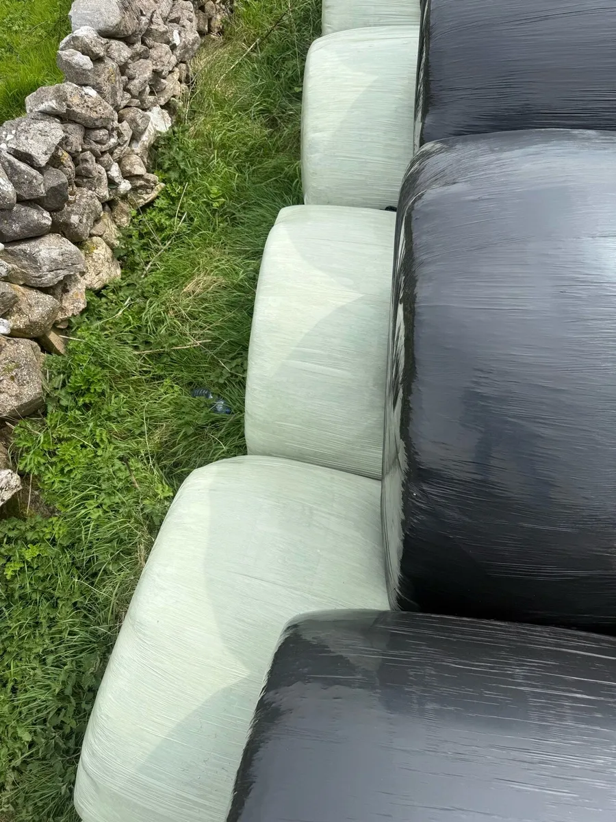 125 Bales of Silage - will sell in batches if want - Image 4