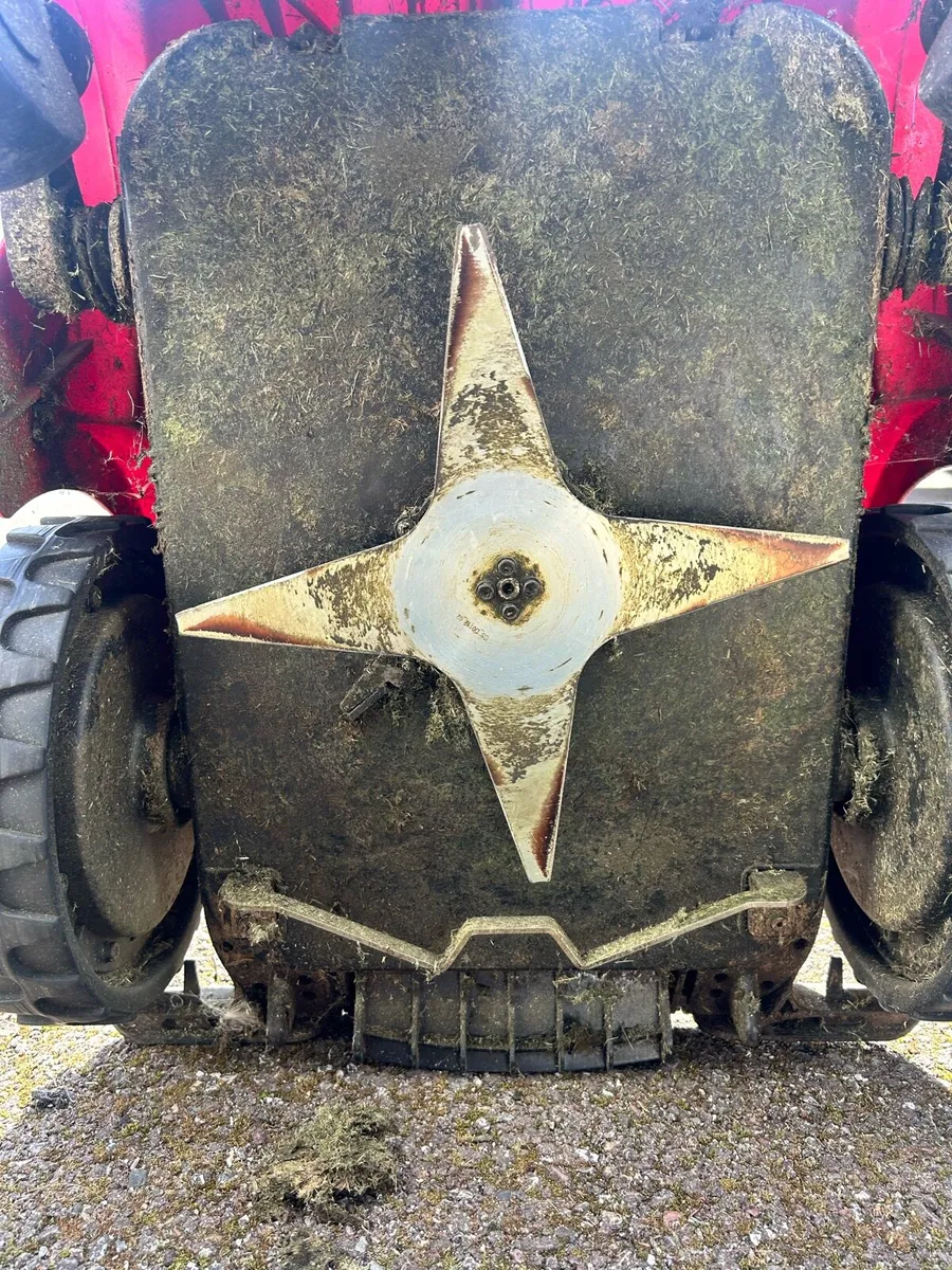 Robot Lawnmower Ambrogio - Image 3