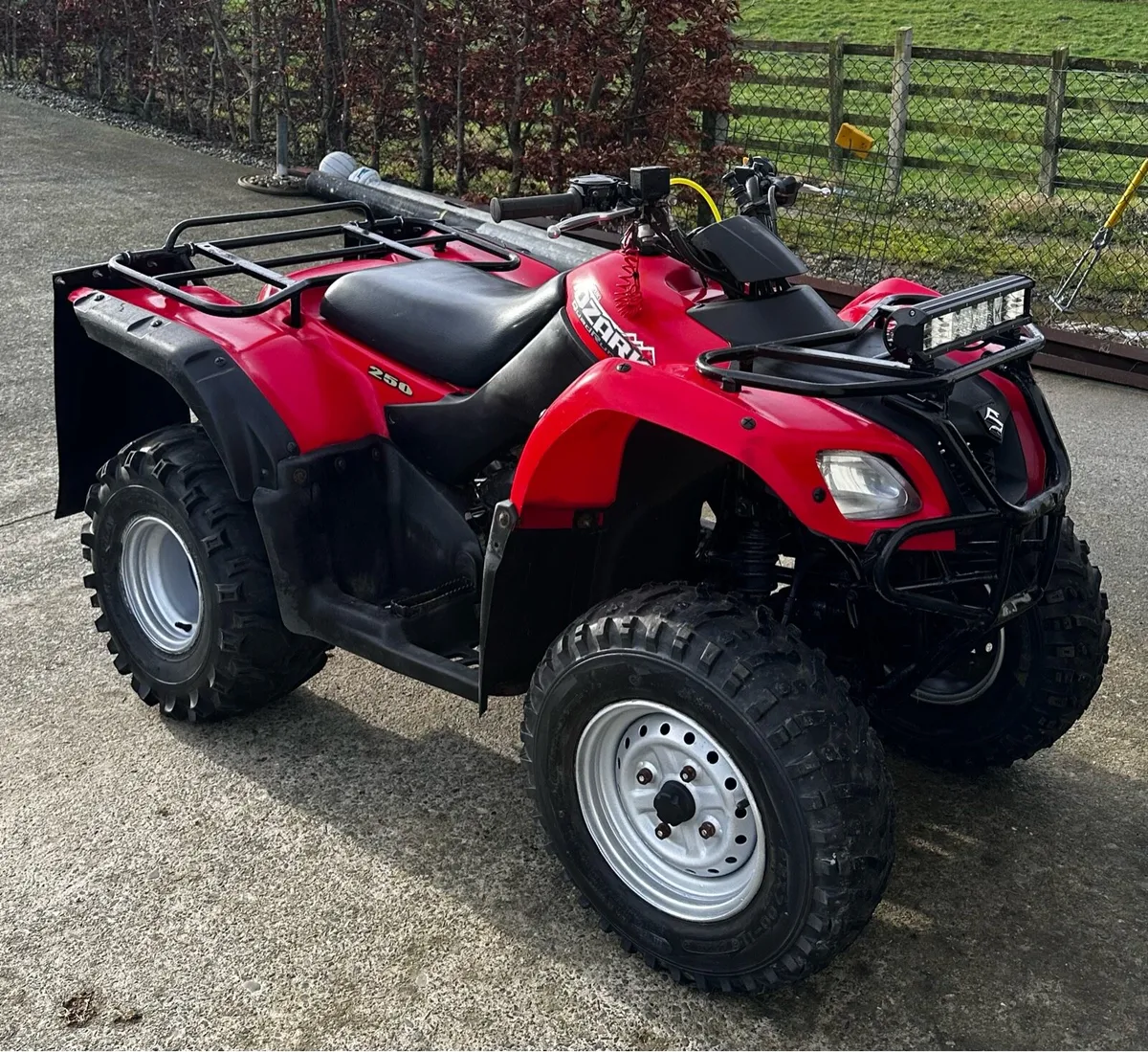 Suzuki ozark 250cc - Image 3