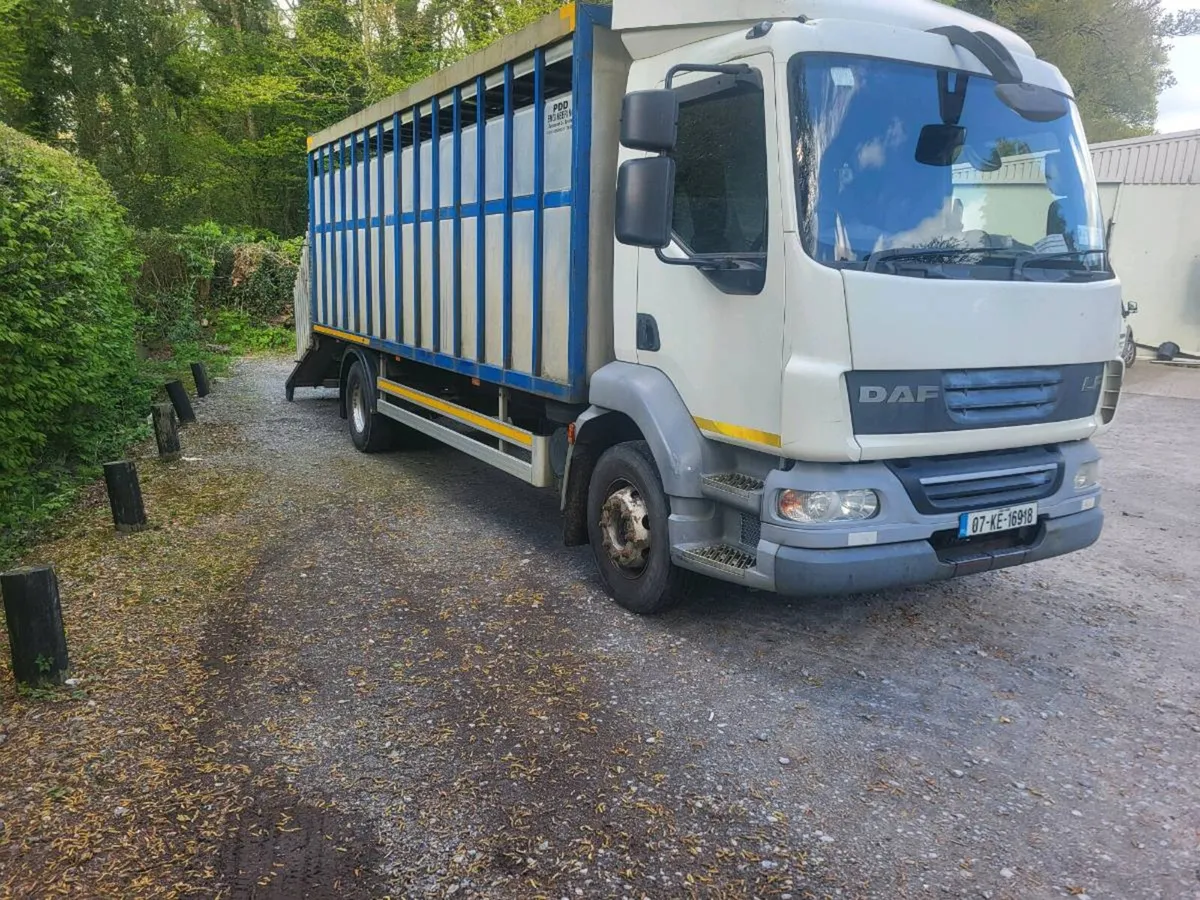 Daff lf.55 180 - Image 2