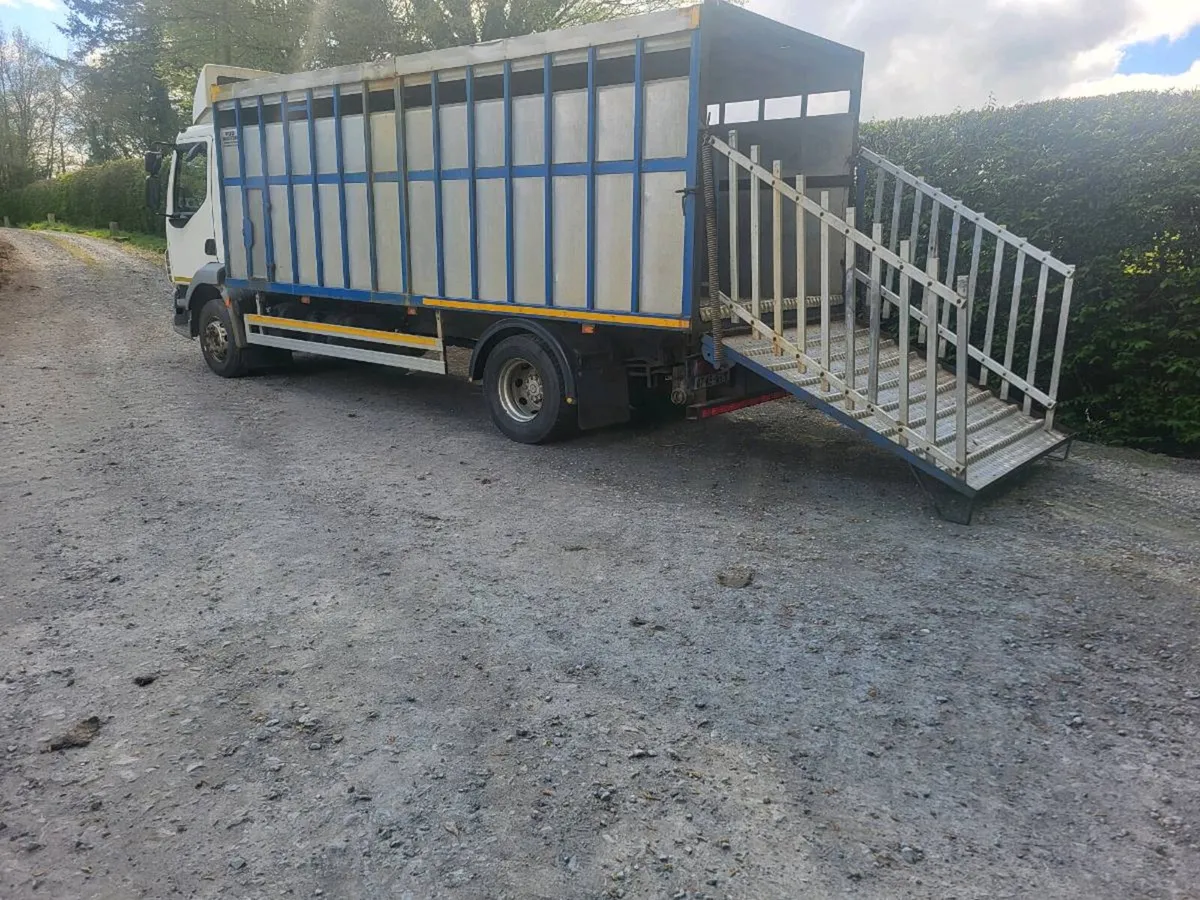 Daff lf.55 180 - Image 3