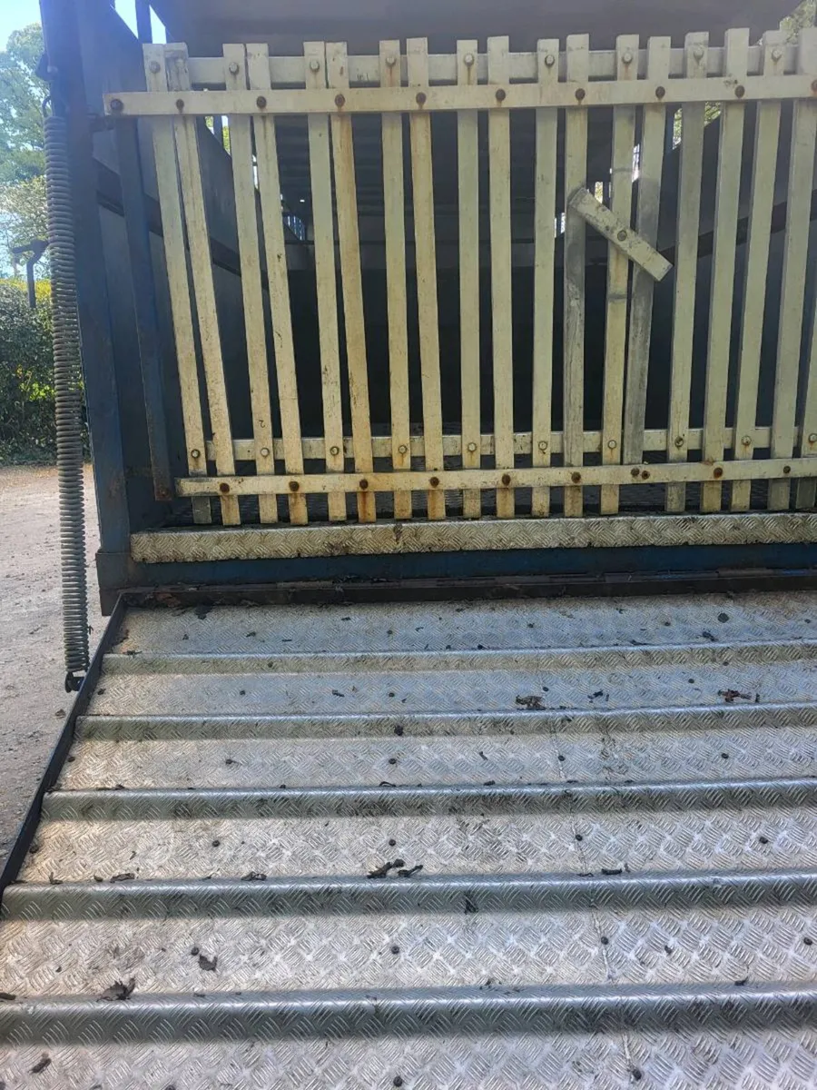 Daff lf.55 180 - Image 4