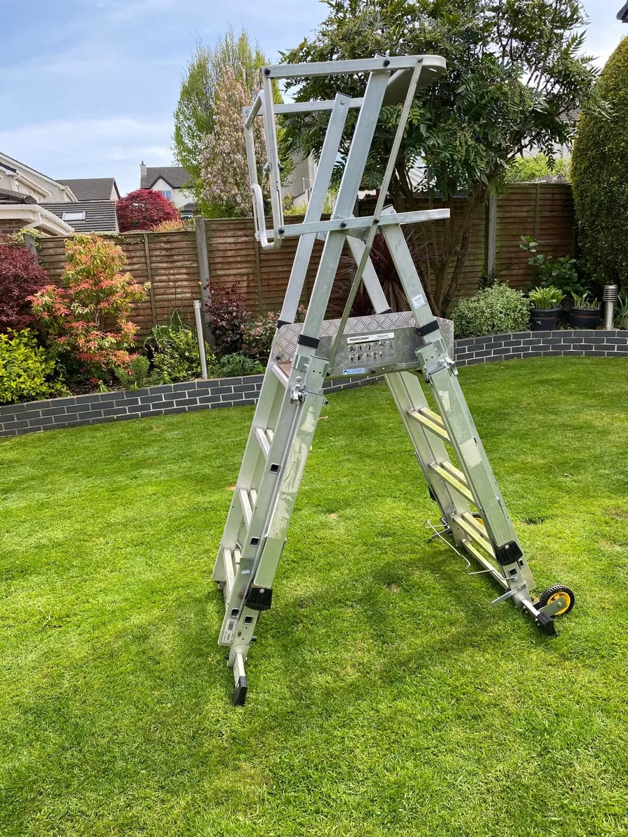 Platform Ladder - Image 2