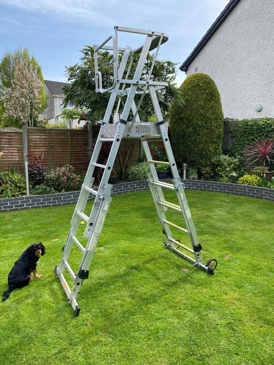 Platform Ladder - Image 1