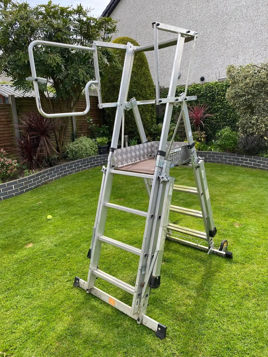 Platform Ladder - Image 3