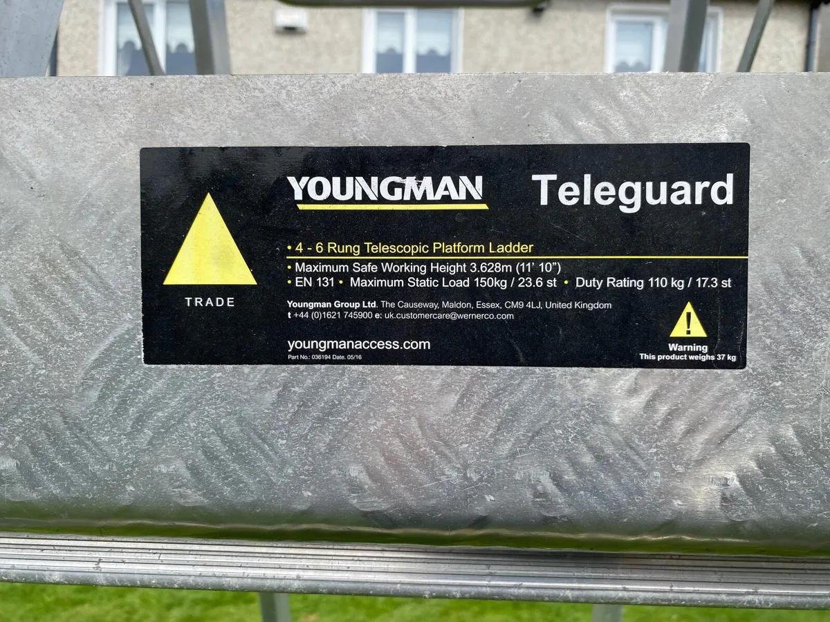 Platform Ladder - Image 4